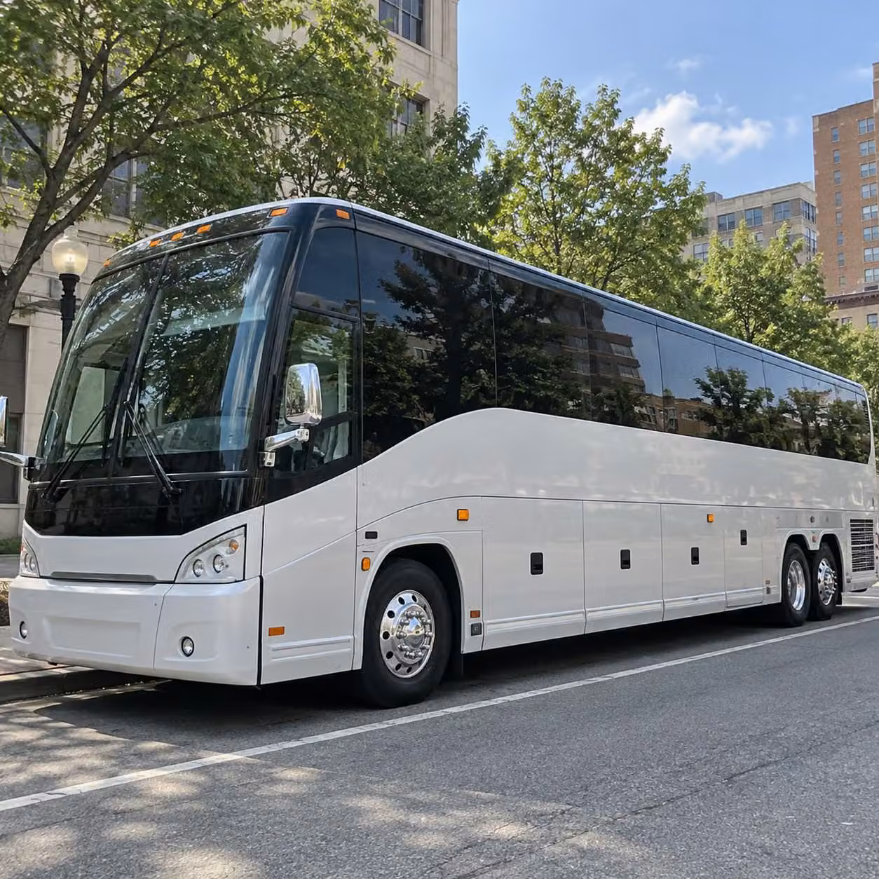 56 passenger charter bus